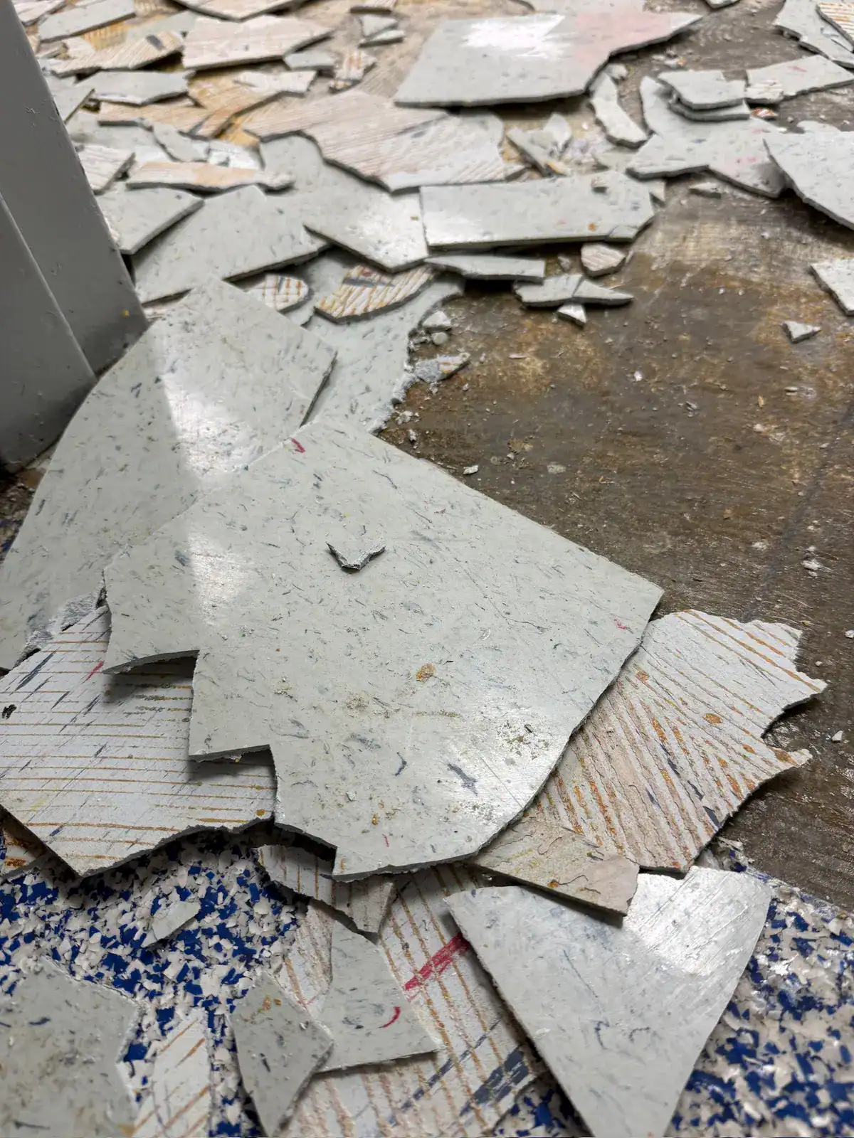 Removed school floor tile showing adhesive on the concrete underneath